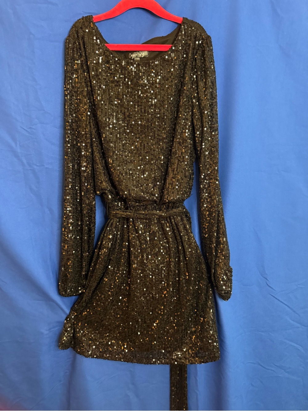 Long-Sleeve Black Sequin Mini Dress with Defined Waist